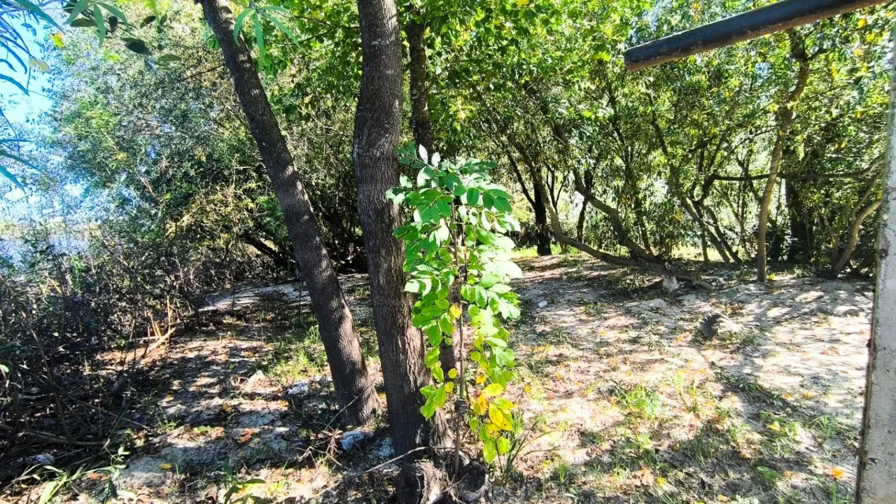 Isla Libertad con salida al Rio