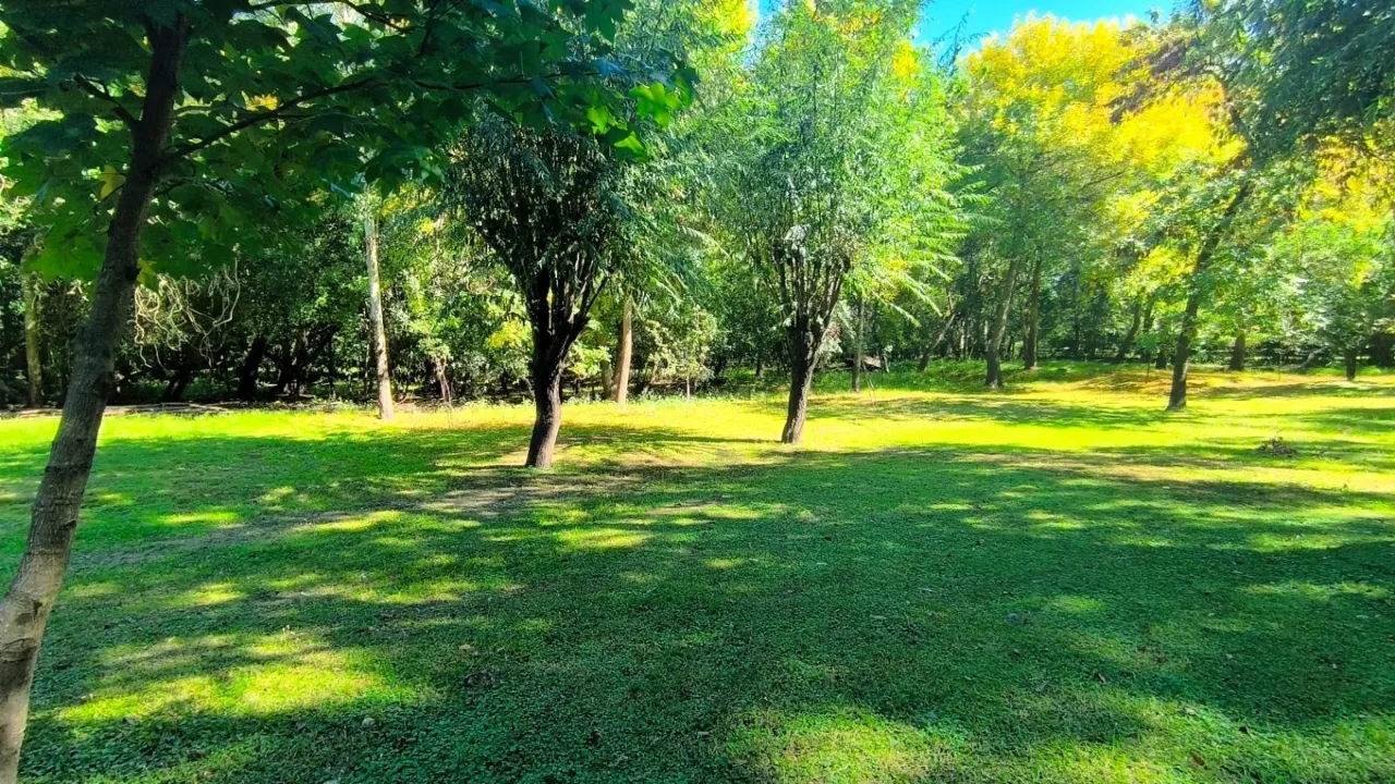 Isla Libertad 1500m2