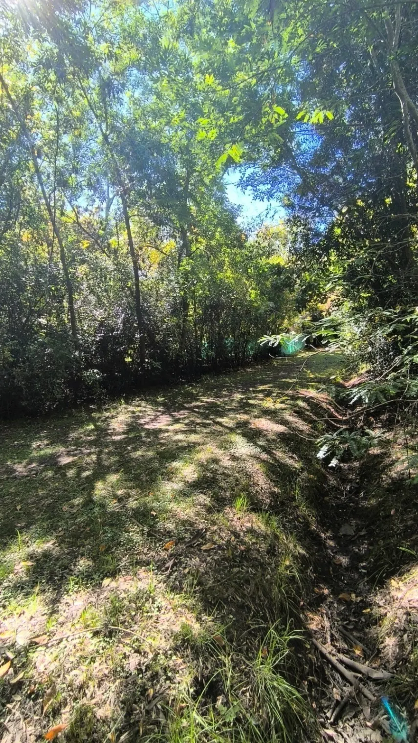 Isla Libertad 1500m2