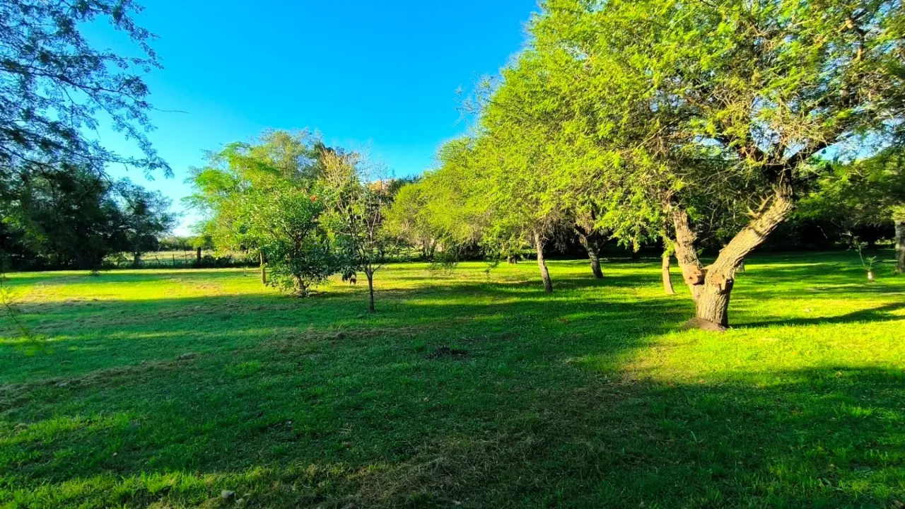 Casa quinta en venta con 5139m2 ubicado en Gualeguaychú