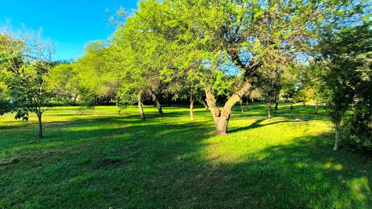 Casa quinta en venta con 5139m2 ubicado en Gualeguaychú