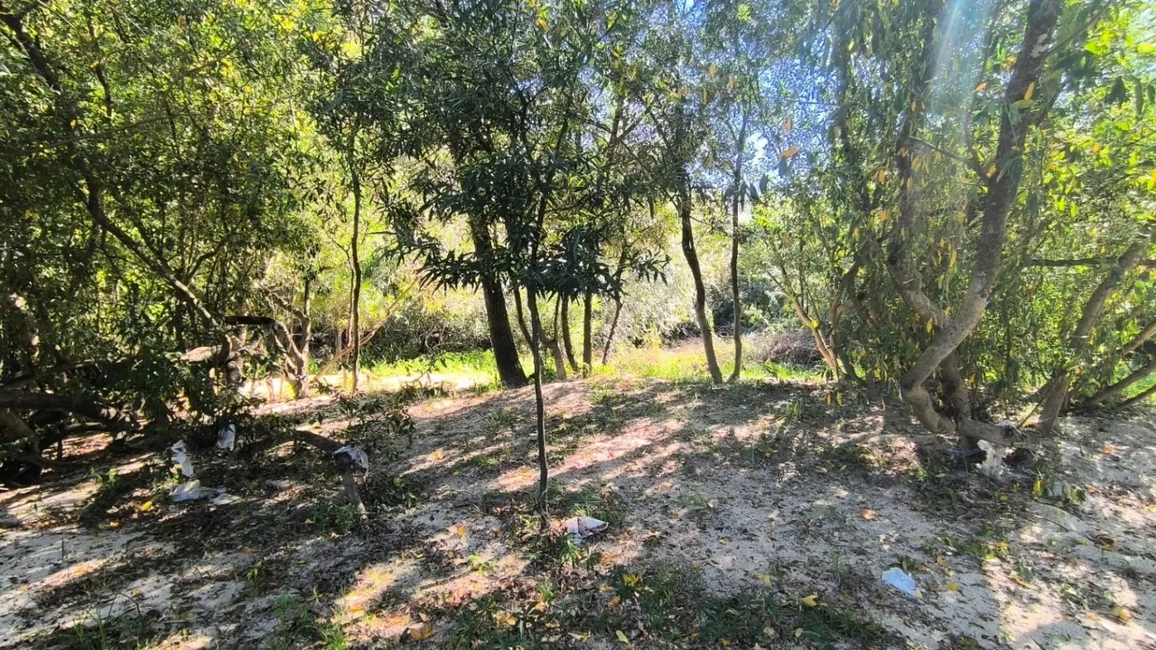 Oportunidad en Isla Libertad 3600m2 ubicado en Gualeguaychú