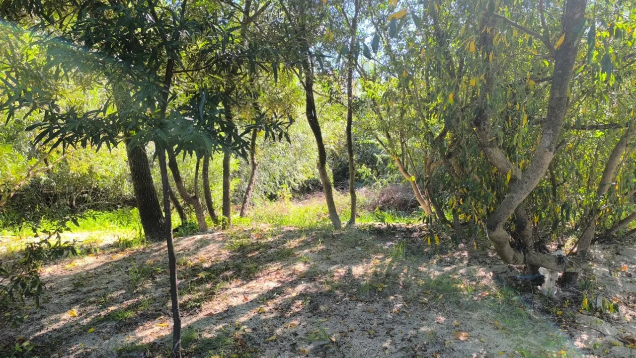 Oportunidad en Isla Libertad 3600m2 ubicado en Gualeguaychú