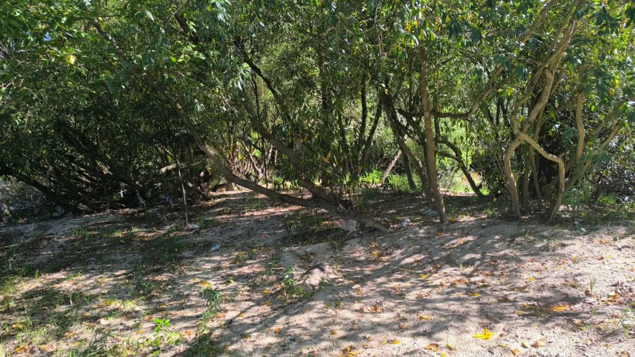 Oportunidad en Isla Libertad 3600m2 ubicado en Gualeguaychú