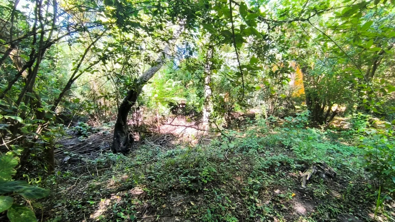 Oportunidad en Isla Libertad 3600m2 ubicado en Gualeguaychú
