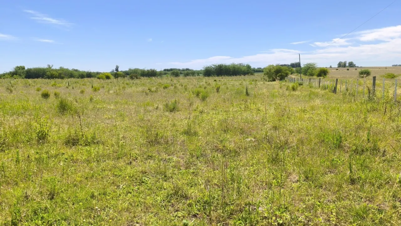 Campo en venta de 1,5 has ubicado en Pueblo General Belgrano