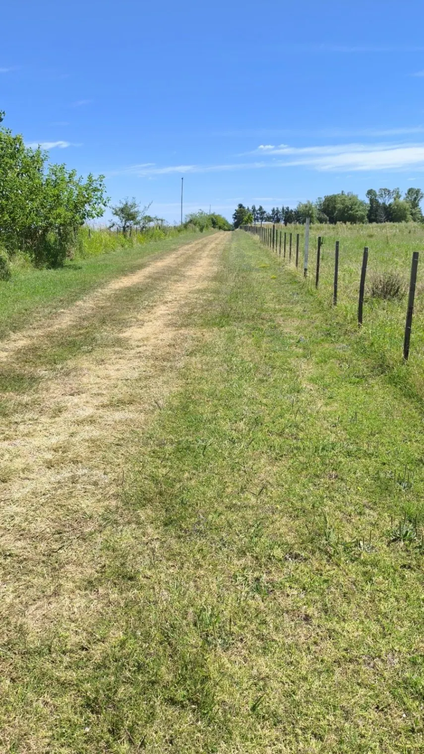 Campo en venta de 1,5 has ubicado en Pueblo General Belgrano