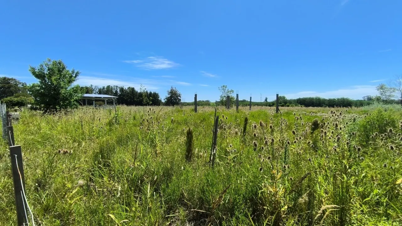 Campo en venta de 5 has ubicado en Pueblo General Belgrano