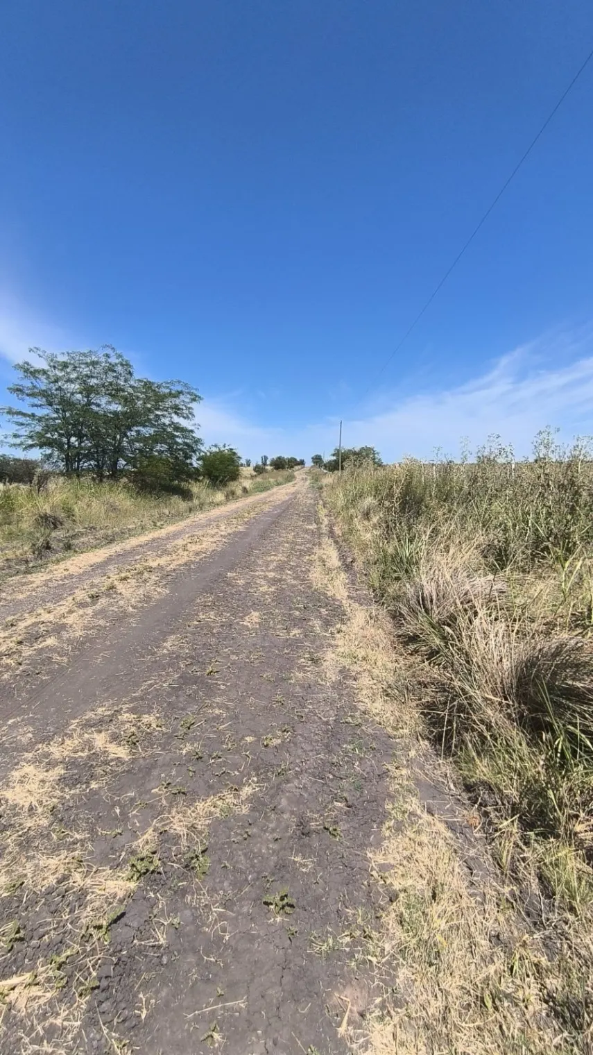 Campo en venta de 5 has ubicado en Pueblo General Belgrano