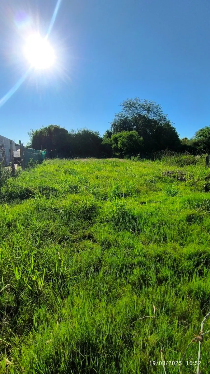 Terreno / Lote en venta de 492m2 ubicado en Gualeguaychú