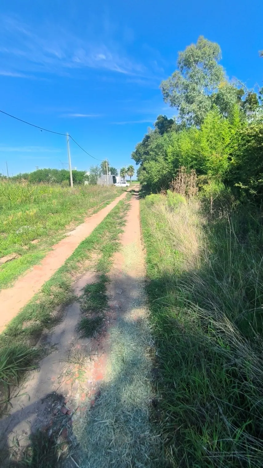 Terreno / Lote en venta de 3125m2 ubicado en Pueblo General Belgrano